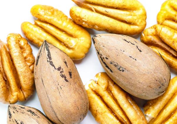Pecan conference and trade show slated for June 1-3