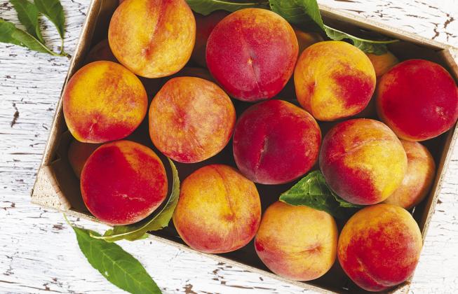 The nutritional benefits of peaches