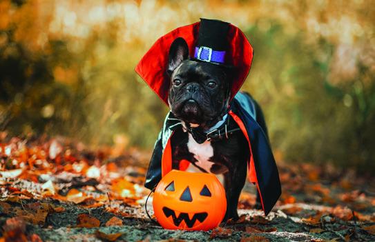 TRICK OR TREAT IN GARVIN COUNTY