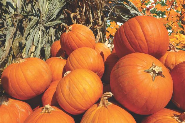 Wynnewood's Pumpkin Fest is Oct. 2