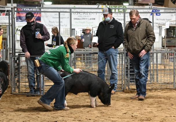 GC Junior Livestock Show returns next week