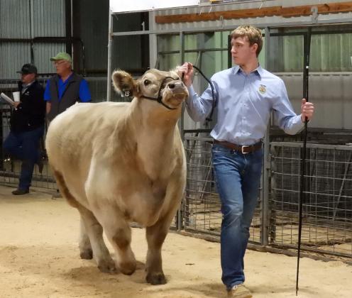 Stratford FFA students also took part in the Garvin County Junior Livestock Show Feb. 21-28.