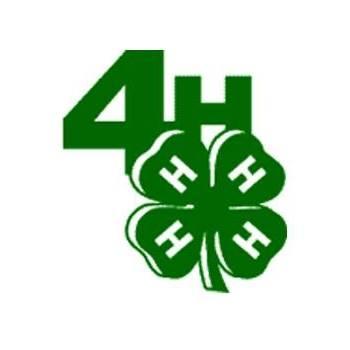 4-H logo