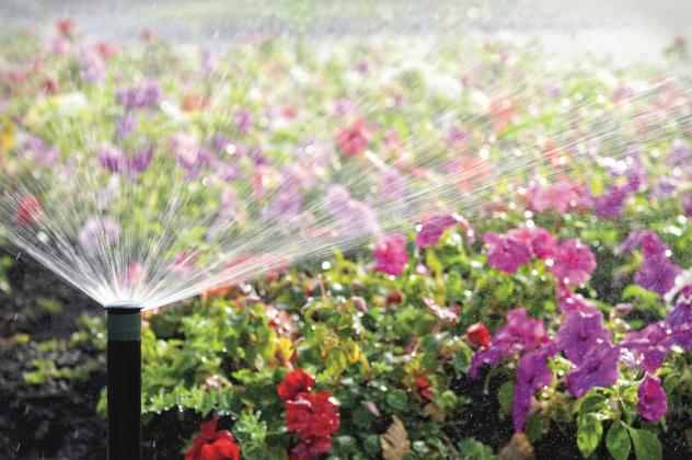 July watering tips