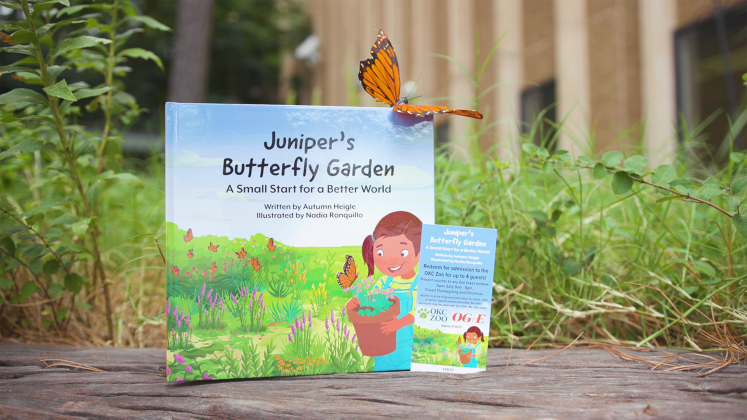 Juniper’s Butterfly Garden teaches children and families about pollinators and how to care for these key species. 
