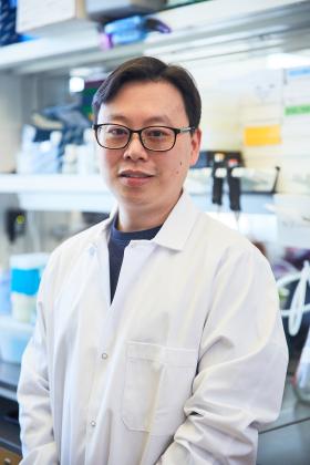 Chi Fung Lee, Ph.D.