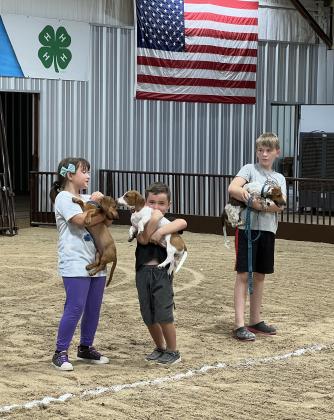 Contestants from the Weiner Dog Races wait for results to be announced Saturday morning during the Garvin County Free Fair. News Star photo by Suzanne Mackey