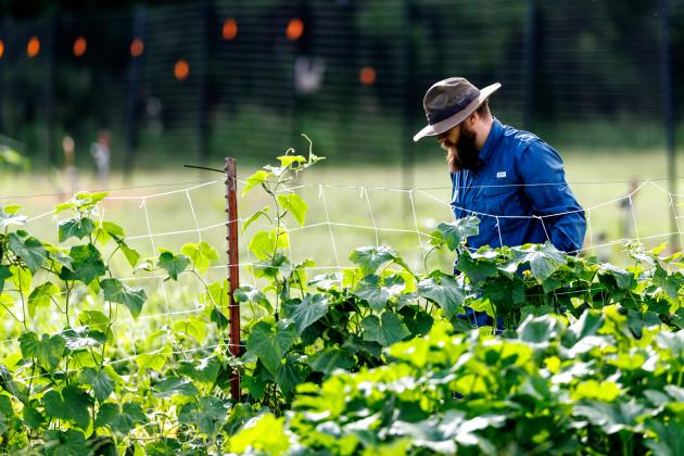 Protective clothing, including a long-sleeved shirt, long pants and a wide-brimmed hat are must-haves for gardeners to protect themselves from harmful UV rays. (Photo by Mitchell Alcala, OSU Agriculture)