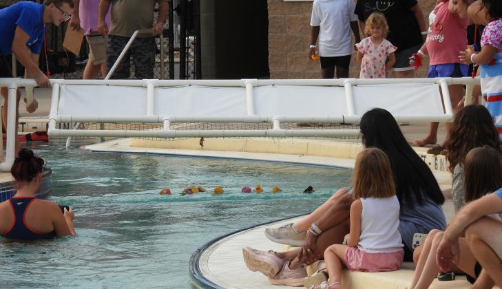 10th Annual Pauls Valley Duck Derby. News Star Photo by Chris Mackey