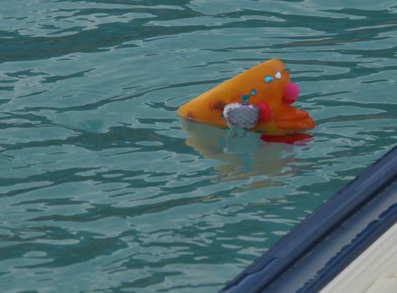 10th Annual Pauls Valley Duck Derby. News Star Photo by Chris Mackey