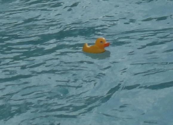 10th Annual Pauls Valley Duck Derby. News Star Photo by Chris Mackey