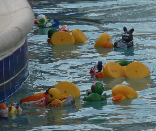 10th Annual Pauls Valley Duck Derby. News Star Photo by Chris Mackey
