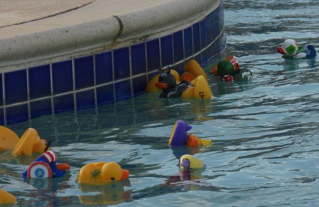 10th Annual Pauls Valley Duck Derby. News Star Photo by Chris Mackey