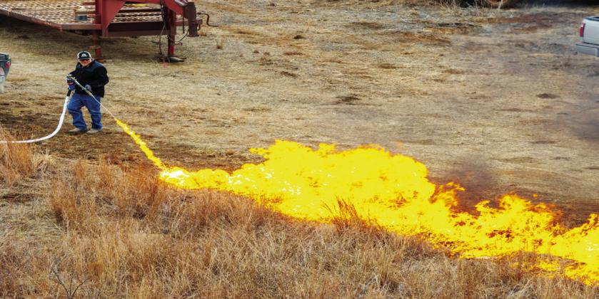 Prescribed fire is a powerful land-management tool. Learn more about it at the upcoming Prescribed Fire Workshop and Field Day on Sept. 10 at the Okmulgee County Fairgrounds in Okmulgee. (Photo by Mitchell Alcala, OSU Agriculture)