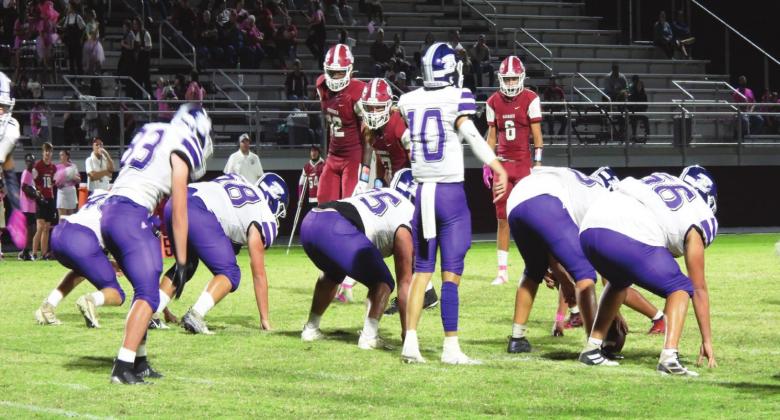 Badger Tyler Martin surveys the Savages’ defense in their win over District A-4 Wynnewood, 48-20. Photo by Chris Mackey