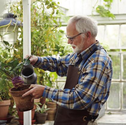 Activities that promote cognitive health