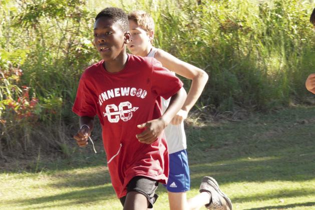 Lindsay cross country Invitational Meet hosts over 500 runners