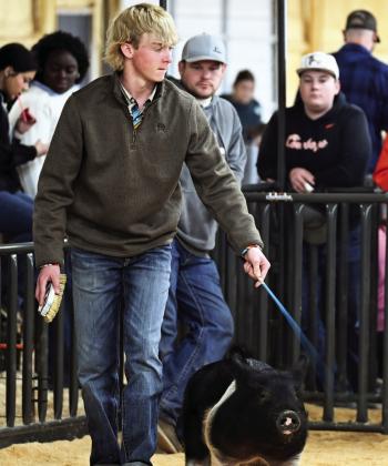 Carson Weiss, of Wynnewood, came in fifth in class with his Berkshire.