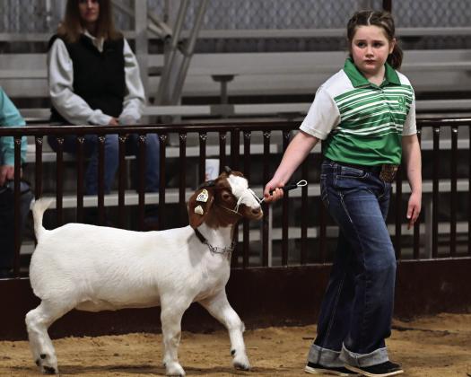 Garvin County Junior Livestock Show results