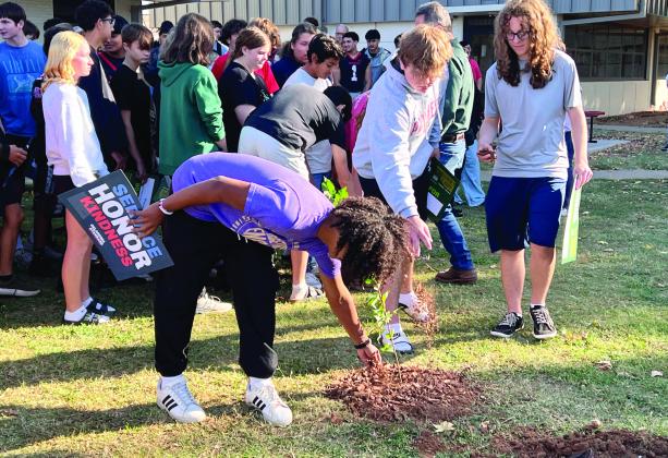 Ninth-grade students from Pauls Valley Junior High helped Oklahoma State Foresters plant a sapling from the Survivor Tree at the Oklahoma City National Memorial and Museum in the Pauls Valley High School courtyard Oct. 25.