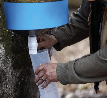 OSU Extension educators regularly work with community partners to promote agriculture and community development. Maple syrup production was the focus of one partnership this year. (Photo by Mitchell Alcala/OSU Agriculture)