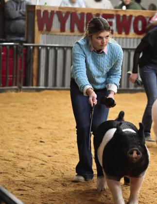 Kortni Green, of Stratford, was among more than 250 competitors who entered their hogs in Wynnewood’s 2025 Swine Jackpot show Jan. 3-4. The annual show is sponsored by the Wynnewood FFA Boosters. News Star photo by Don Coffey