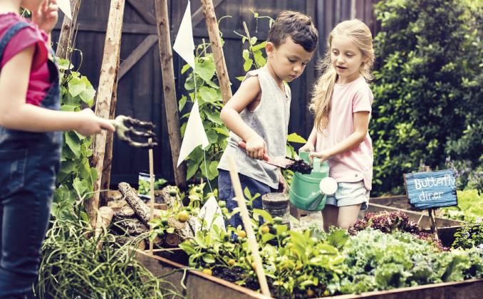 Teachers and community leaders will learn more about school and community gardens at the upcoming Oklahoma School and Community Garden Conference on July 21 in Oklahoma City.