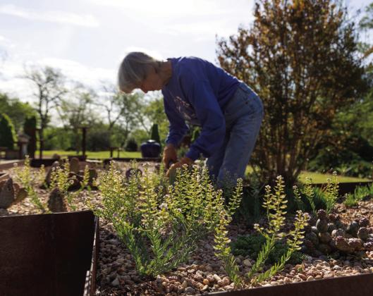 Raised beds and ergonomic tools are two things that help make gardening easier for senior gardening enthusiasts and those with physical limitations. (Photo by Mia Reinert, OSU Agriculture)