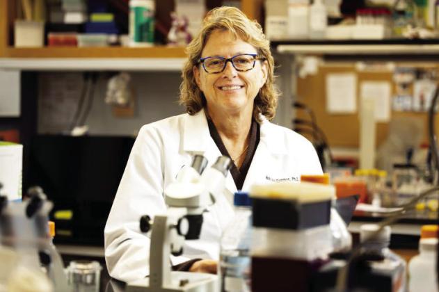 Holly Van Remmen, Ph.D.