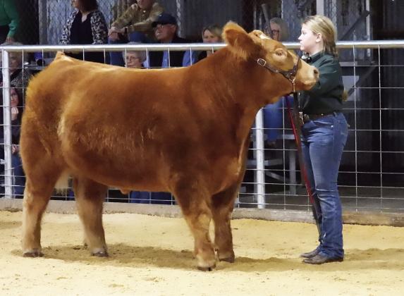 Youth from across the county will come together next week at the Garvin County Fairgrounds for the 2023 Garvin County Junior Livestock Show. This year’s show runs February 20-27 and will include events for cattle, swine, sheep and goats. See the back page for a full schedule of events. News Star photo by Chris Mackey