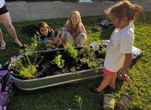 Pauls Valley Girl Scout Troop 259 installed a new pollinator garden at the First Presbyterian Church in Pauls Valley. The girls planned and paid for this project using cookie sales money earned this year. This completes the 'Take action' badge for the Outdoor Journey series. This project was made possible through the gracious permissions from the First Presbyterian Church and flower donations from Pamela Popejoy at Blooming Crazy. Pictured are Paityn Perez, Luna Flores and Olivia Luker. Courtesy photo