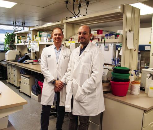 OMRF physician-scientist Matlock Jeffries, M.D., mentors Aleksander Szymczak, Ph.D., a postdoctoral researcher seeking to establish his own lab. Courtesy photo