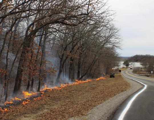 A wildland firefighter uses a drip torch to ignite vegetation along Cooper Memorial Road. The view is looking south-southwest from the Lakeview Trailhead towards the picnic area at the end of Cooper Memorial Road. Lake of the Arbuckles and Arbuckle Dam are visible in the background. NPS photo