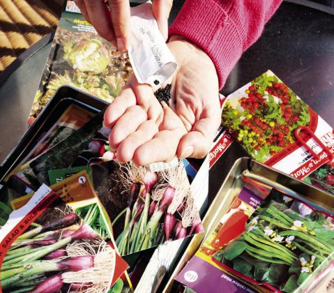Gardeners shouldn’t let themselves be fooled by photos of plants they find online. Check with reputable seed companies to verify the plant is legitimate. (Photo by Shutterstock)
