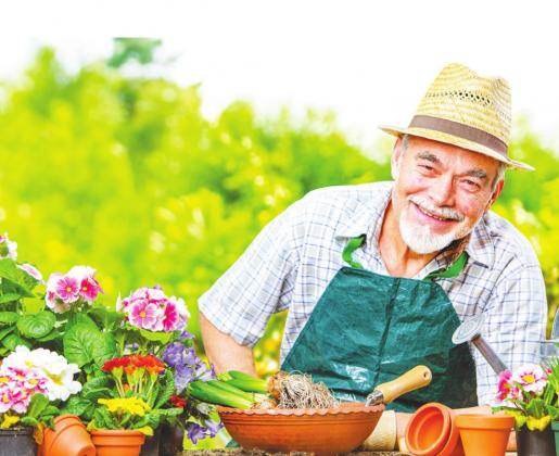 Summer fun for active seniors