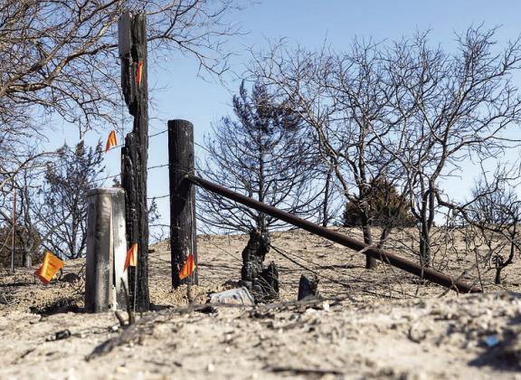 Parts of Ellis County suffered extensive damage following the wildfires in February 2024. OSU Extension recently received a grant from the USDA to better prepare Extension offices and research stations for future disasters. (Photo by Mitchell Alcala, OSU Agriculture)