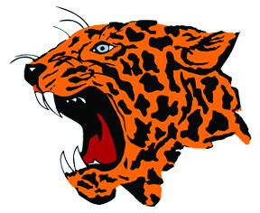 Leopards and Leopardettes win Districts