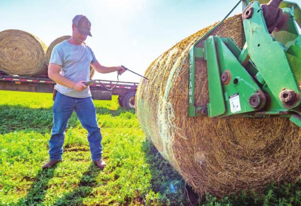 Lower yields expected for 2021 hay crop