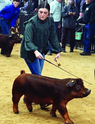 Gemma Carotenuti of Stratford guides her pig through the show ring.