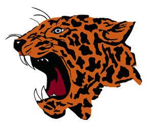 Lindsay softball season ends at State semifinals