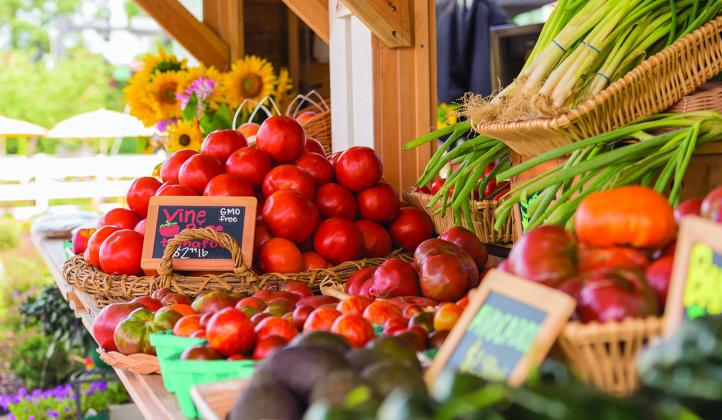 Growing Tomatoes Like A Pro: Tips For A Bumper Harvest
