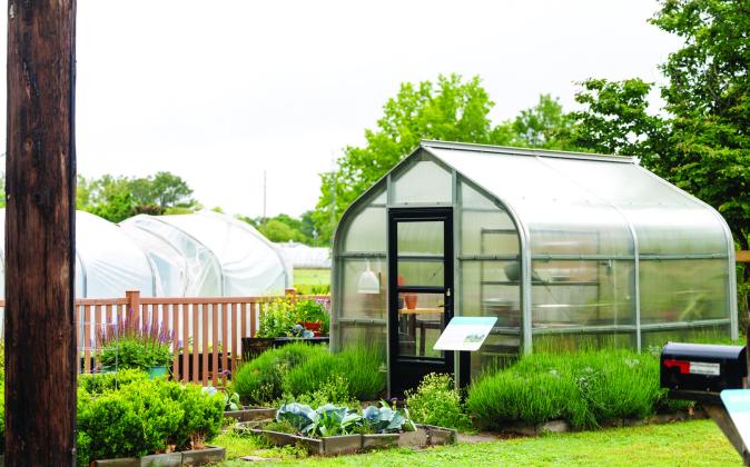 A greenhouse is the perfect place to nurture plants but resist the urge to use it as a storage shed for all garden-related tools and supplies. (Photo by Mitchell Alcala, OSU Agriculture)