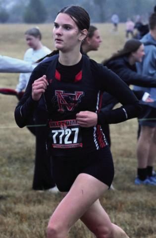 Rachel Hamilton