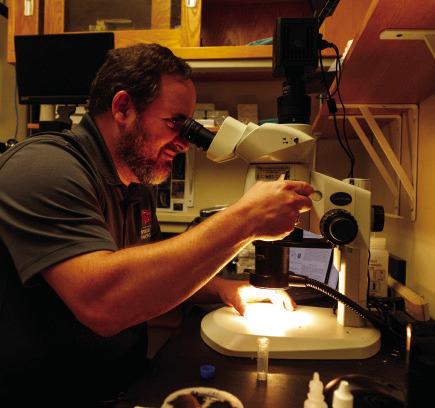OSU’s Plant Disease and Insect Diagnostic Lab, located inside the Noble Research Center, focuses on identifying pests and pathogens and working with producers to develop solutions. Photo by Mitchell Alcala, OSU Agriculture