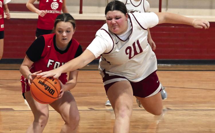 Lady Savage basketball season underway