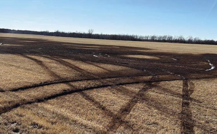 Two local teens caused around $10,000 in damage to a Bermuda grass hayfield north of Wynnewood recently by driving their vehicles through it. Photo courtesy of Joe Menefee