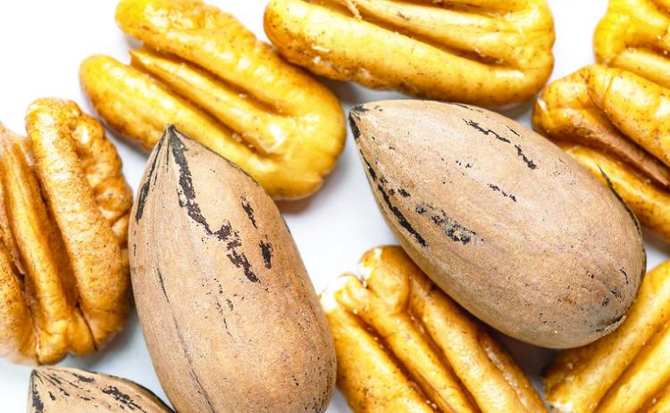 Pecan conference and trade show slated for June 1-3