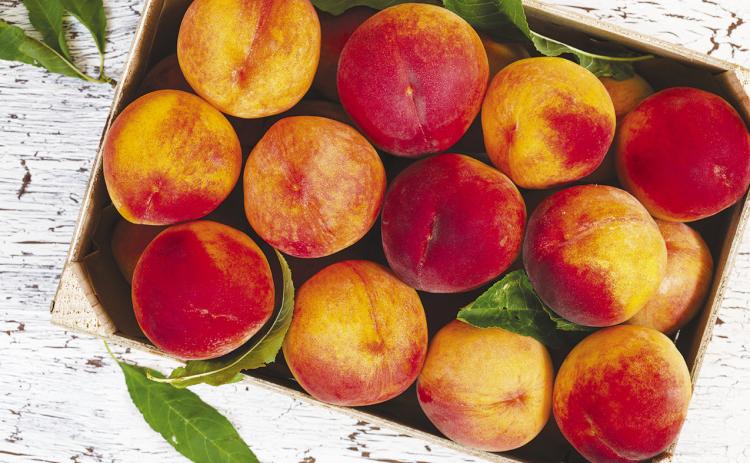 The nutritional benefits of peaches