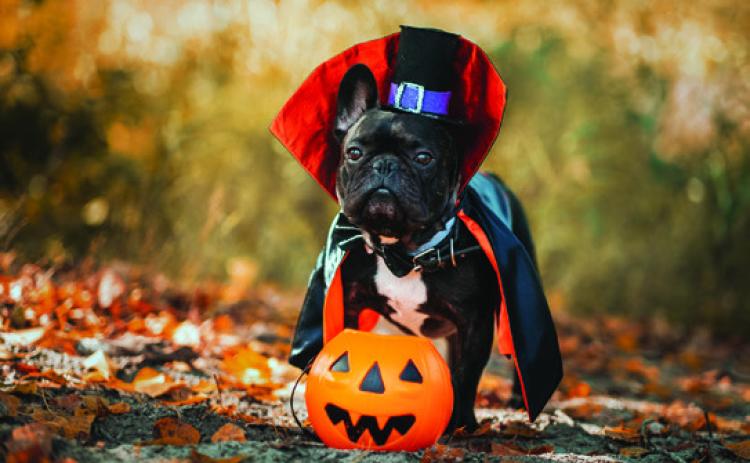 TRICK OR TREAT IN GARVIN COUNTY