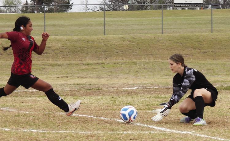 Soccer kicks off at Whitebead